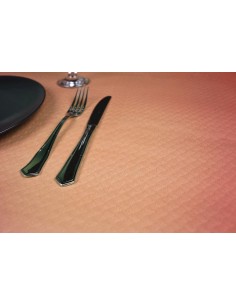 Mantel Fondo Salmón 40gr  100x100 400ud PF10040EX