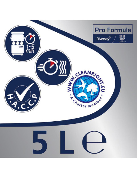 Abrillantador Sun Pro Formula Abrillantador 5L 2Ud Abrillantador Sun Pro Formula Abrillantador 5L 2Ud