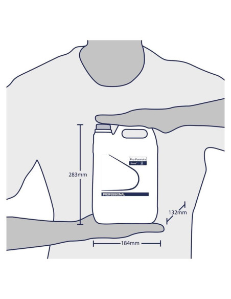 Abrillantador Sun Pro Formula Abrillantador 5L 2Ud Abrillantador Sun Pro Formula Abrillantador 5L 2Ud