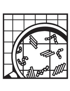 Detergente Desinfectante Suma Bac D10 20L 2