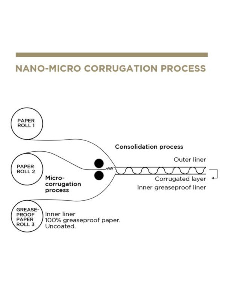 Conchas Hamburguesa 13X12 5X6 2Cm Natural 450Ud