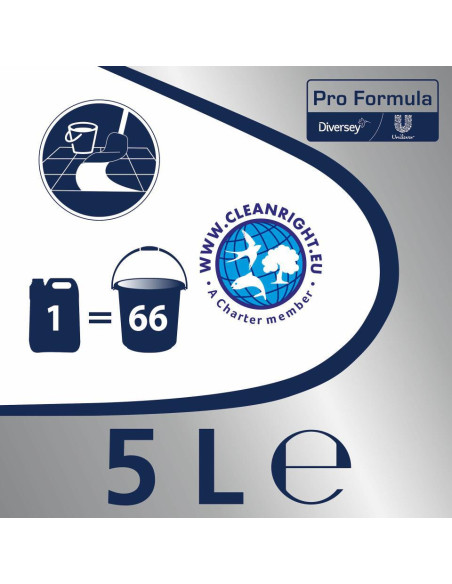 Cif Pro Formula Limpiador Jabonoso Madera 5L 2Ud Cif Pro Formula Limpiador Jabonoso Madera 5L 2Ud