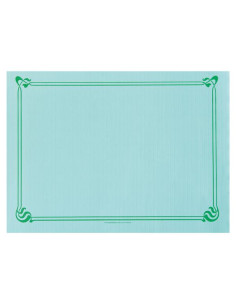 Mantelin 31x43 Verde Agua 2000ud 108 06