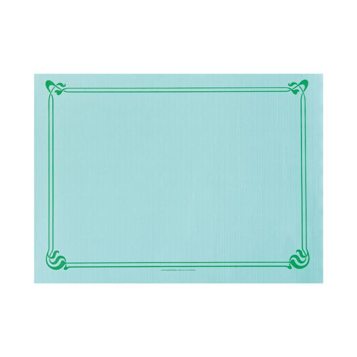 Mantelin 31x43 Verde Agua 2000ud 108 06