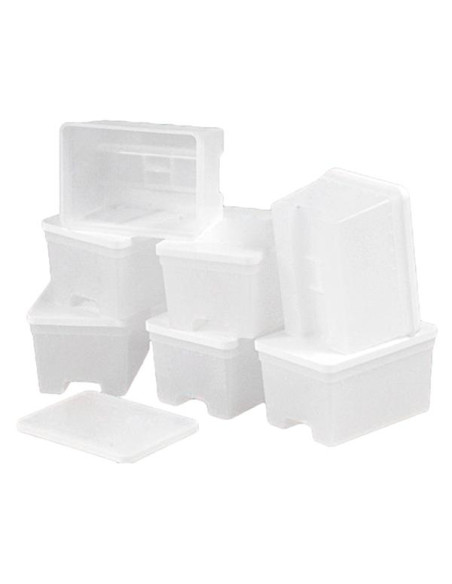 Barquillas   Tapas 220ml 9x6 5x5cm PP 112 88