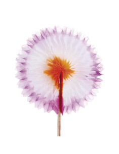 Adornos  Abanicos Chinos  Papel 144ud 115 05 2