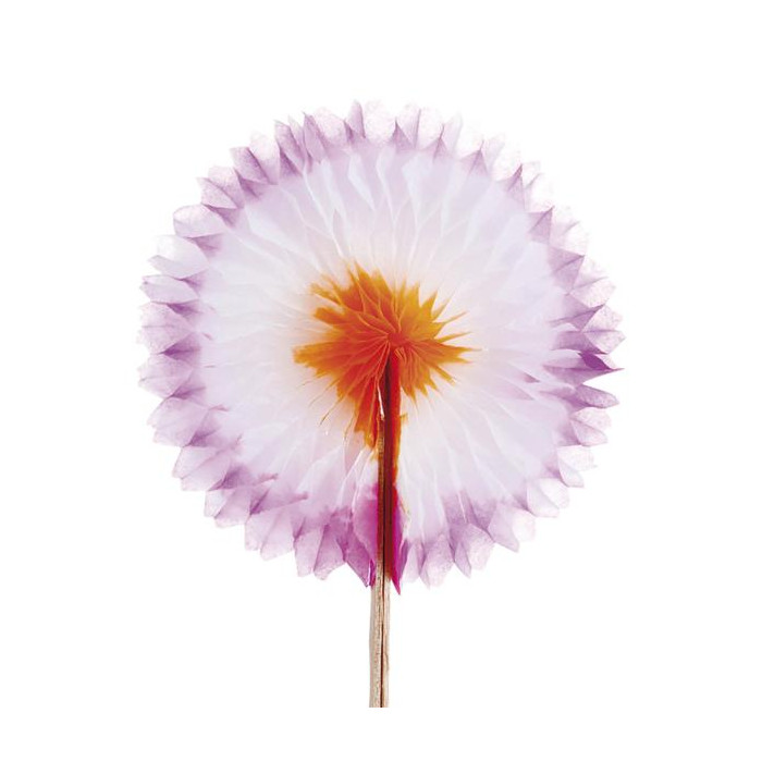 Adornos  Abanicos Chinos  Papel 144ud 115 05