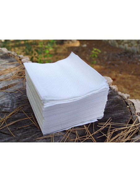 Servilleta Interplega 11x20 2 Capas 320ud PZZ1120