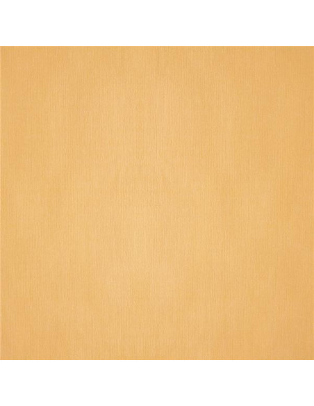 Manteles Plegado 120x120cm Marfil 200ud 196 94