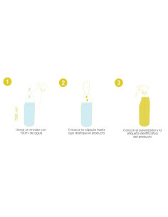 Concentrado Desengrasante CAPXEL CT DENG 50ml 48ud 2